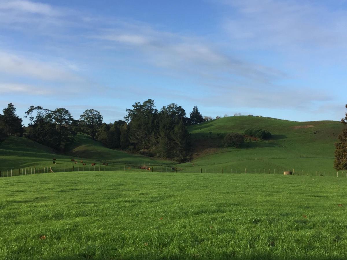 Veld View Bed And Breakfast Tuakau Extérieur photo