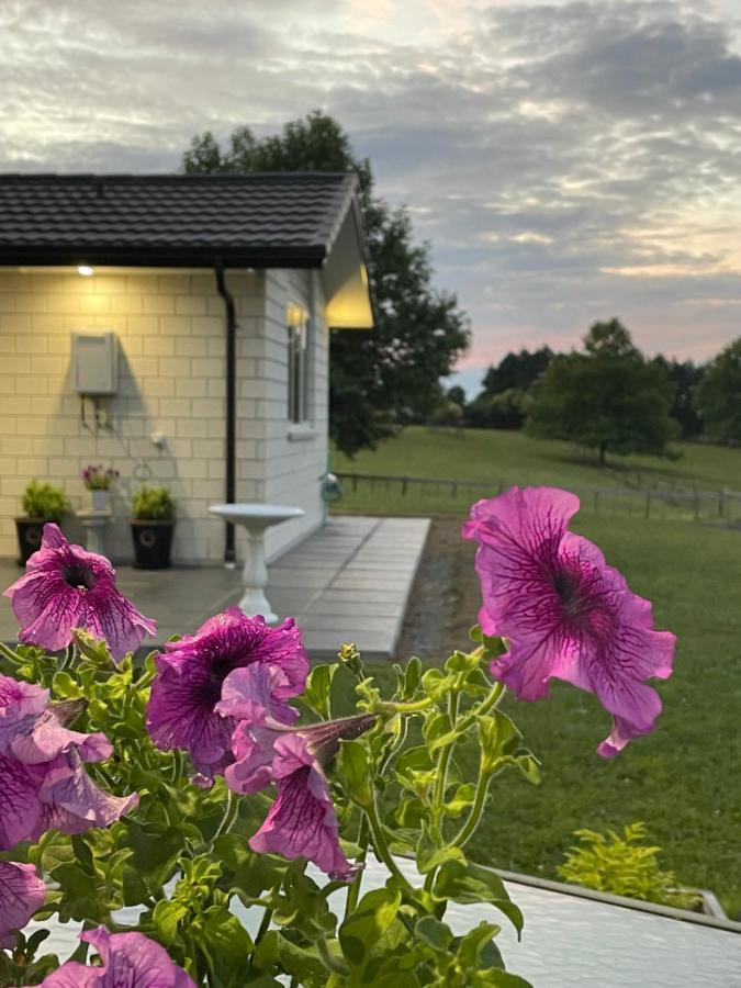 Veld View Bed And Breakfast Tuakau Extérieur photo