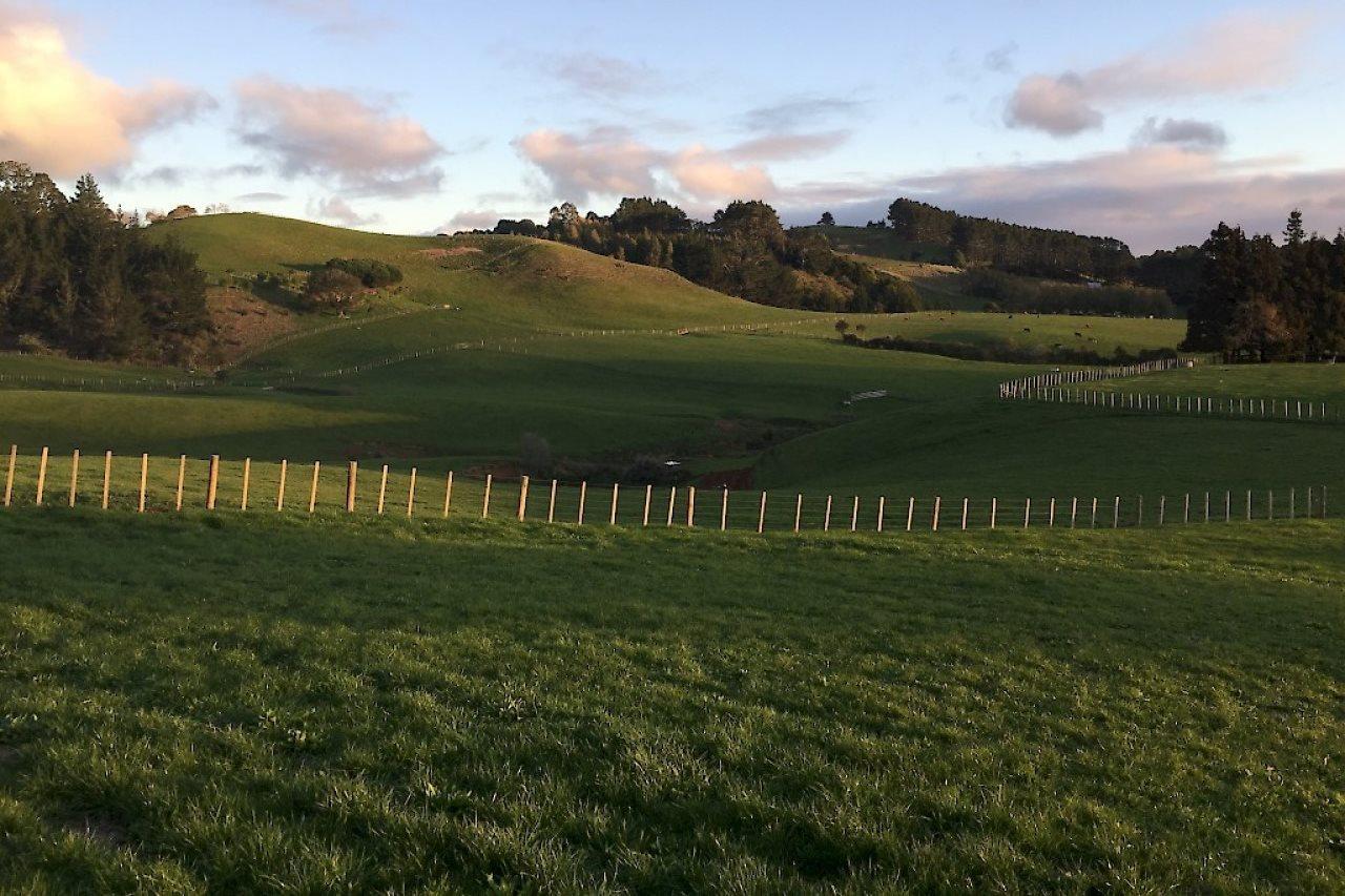 Veld View Bed And Breakfast Tuakau Extérieur photo
